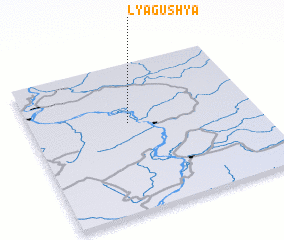 3d view of Lyagush\