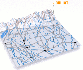3d view of Joki Hāt