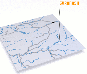 3d view of Suranash