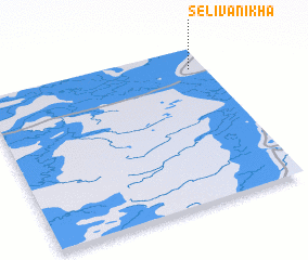 3d view of Selivanikha