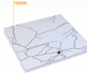 3d view of Tongul