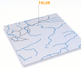 3d view of Tolom