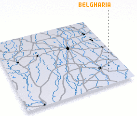 3d view of Belgharia