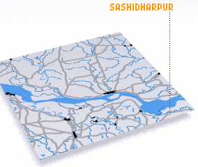 3d view of Sashidharpur