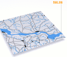 3d view of Nalua