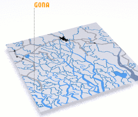 3d view of Gona