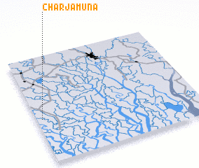 3d view of Char Jamuna