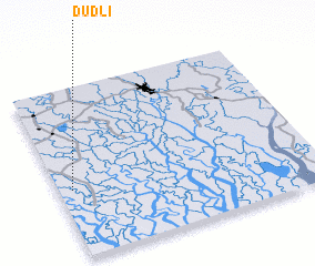 3d view of Dudli