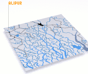 3d view of Alipur