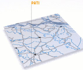 3d view of Pati