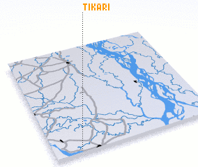 3d view of Tikari