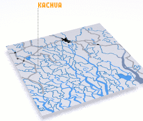 3d view of Kachua