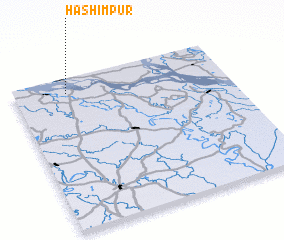 3d view of Hāshimpur