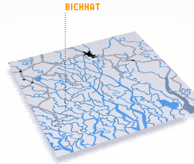 3d view of Bichhāt