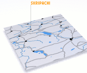 3d view of Skripachi