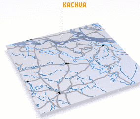 3d view of Kachua