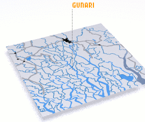 3d view of Gunari