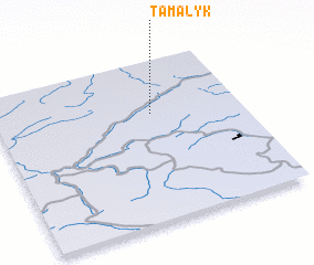 3d view of Tamalyk