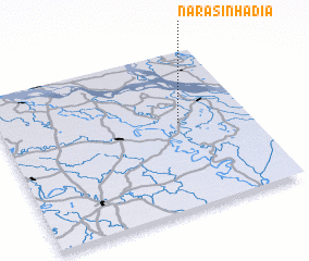 3d view of Narasinhadia