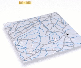 3d view of Bokoki