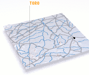 3d view of Toro