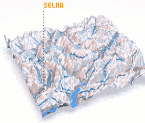 3d view of Selma