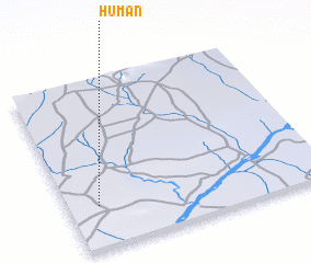 3d view of Human