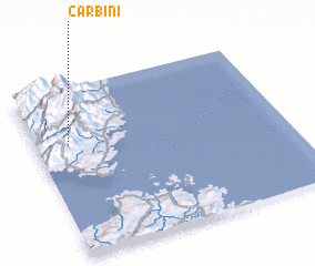 3d view of Carbini