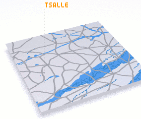 3d view of Tsalle