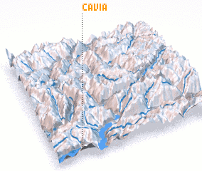 3d view of Cavia