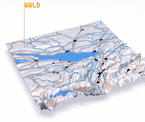 3d view of Wald
