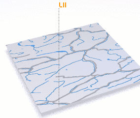 3d view of Lii