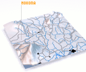 3d view of Mokona