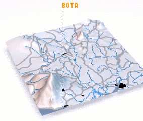 3d view of Bota