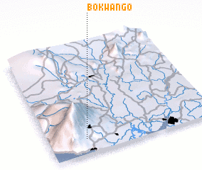 3d view of Bokwango