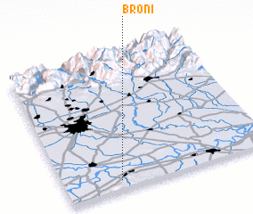 3d view of Broni