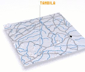 3d view of Tambila