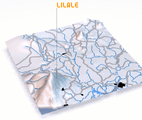 3d view of Lilale