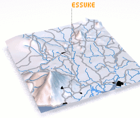 3d view of Essuke