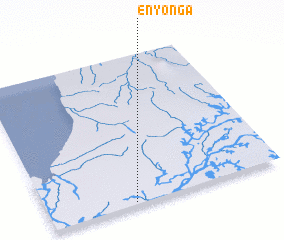 3d view of Enyonga