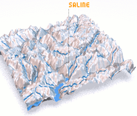 3d view of Saline