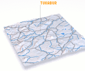 3d view of Tūkābur