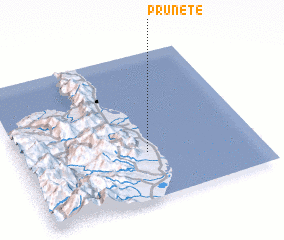 3d view of Prunete