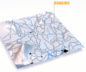 3d view of Bwadibo