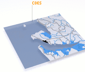 3d view of Coes