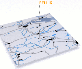 3d view of Bellig