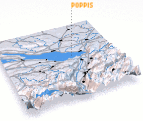 3d view of Poppis