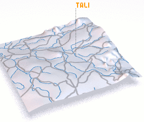 3d view of Tali