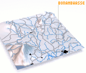 3d view of Bonambwassé