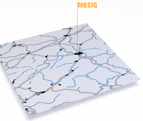 3d view of Niesig